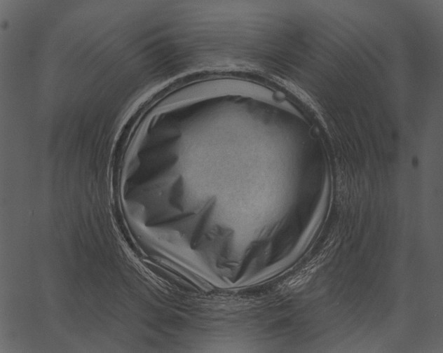 X0000062610935200601111005