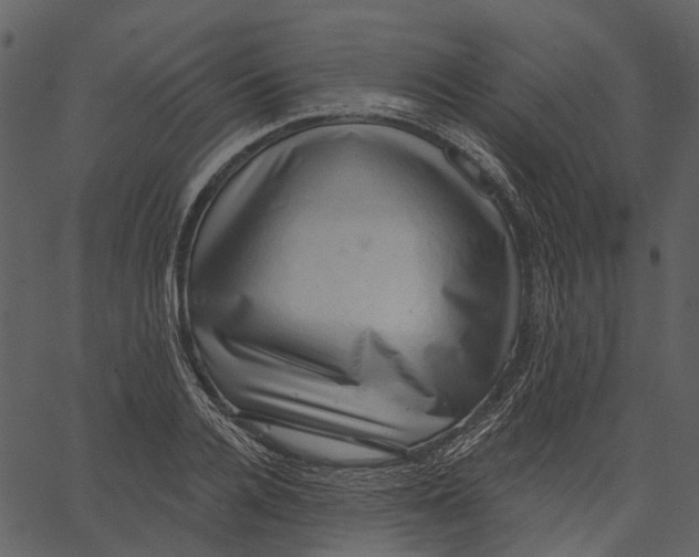 X0000062610936200601111005