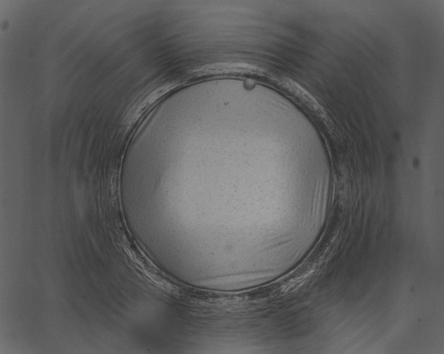 X0000062610937200601111005