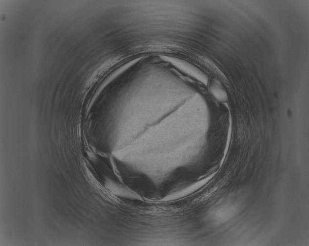 X0000062610938200601111005