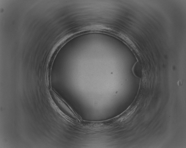 X0000062610939200601111005