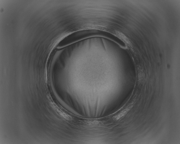 X0000062610940200601111005