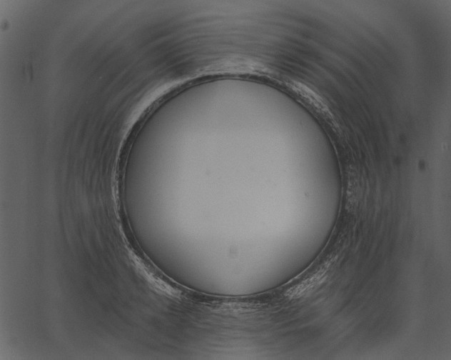 X0000062610942200601111005