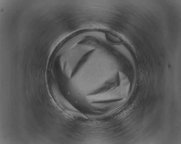 X0000062610943200601111005