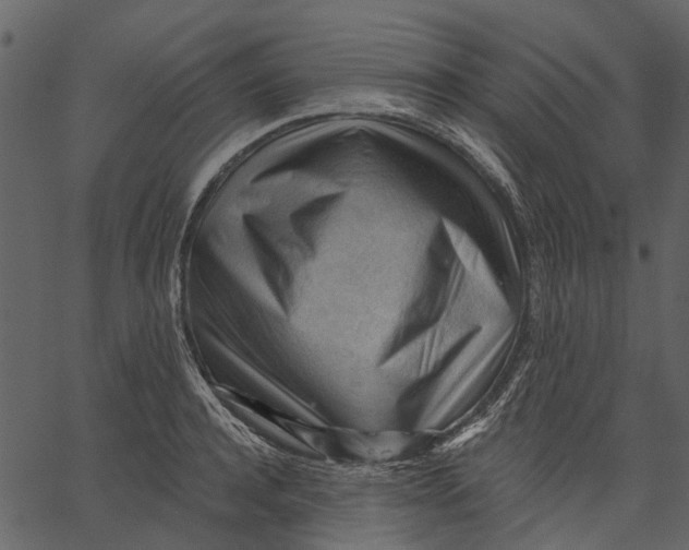 X0000062610944200601111005