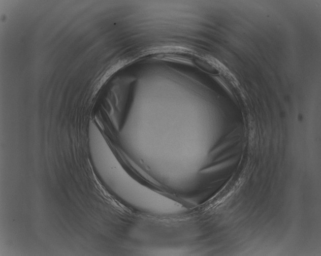 X0000062610945200601111005