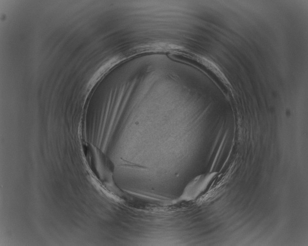 X0000062610946200601111005