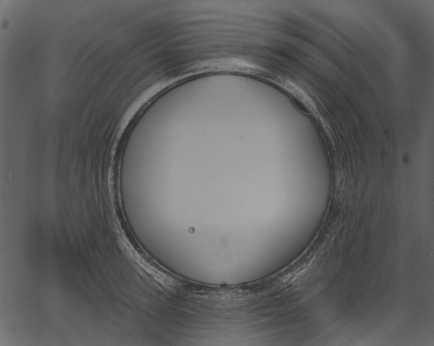 X0000062610947200601111005