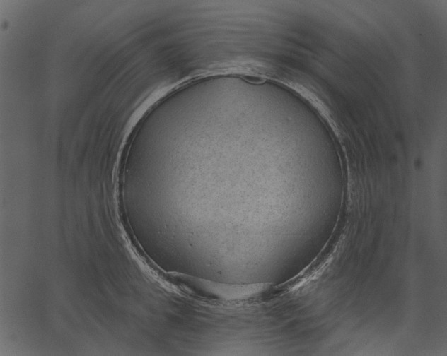 X0000062610949200601111005