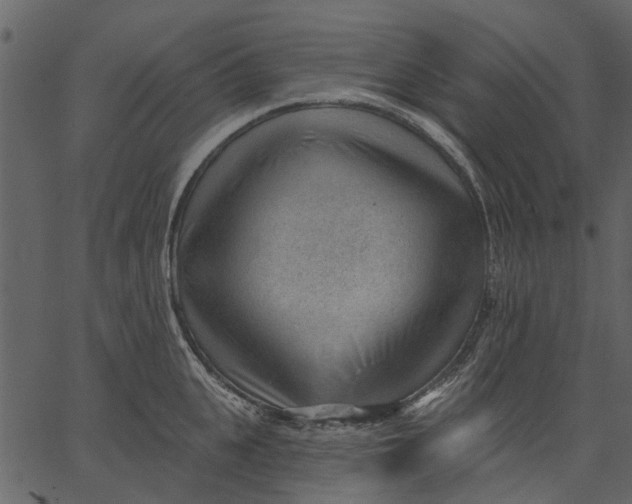 X0000062610951200601111005