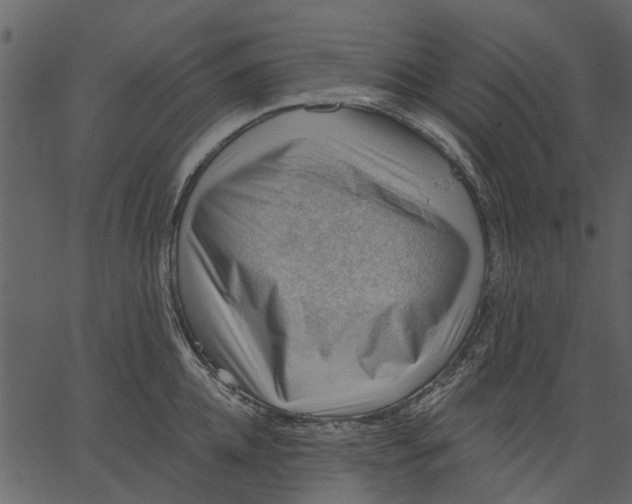 X0000062610952200601111005