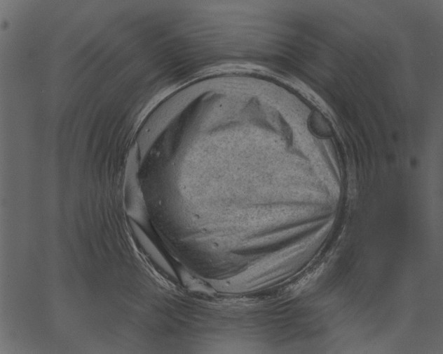 X0000062610953200601111005