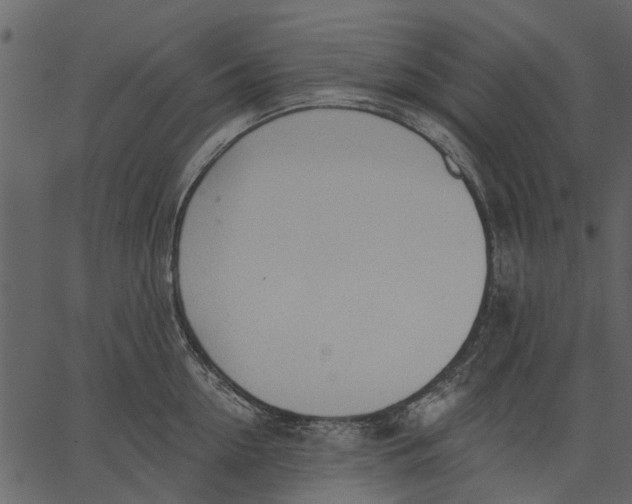 X0000062610954200601111005