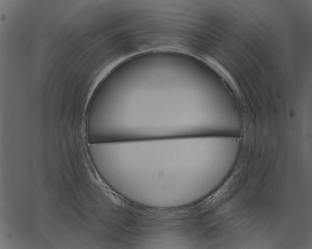 X0000062610956200601111005