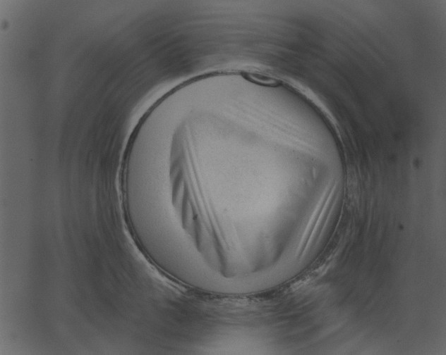 X0000062610959200601111005