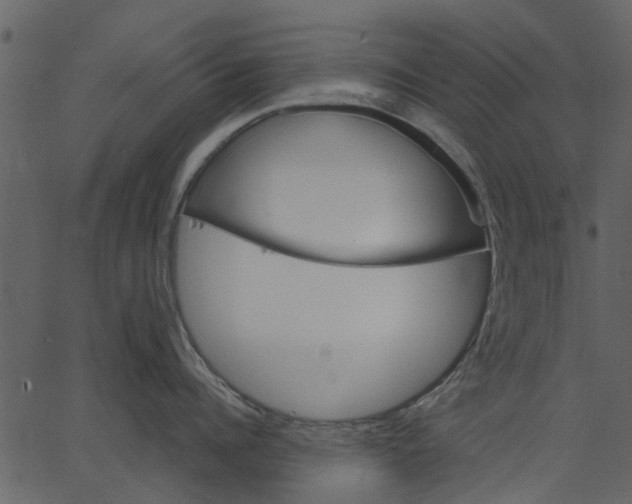 X0000062610960200601111005