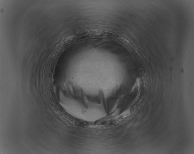 X0000062610961200601111004