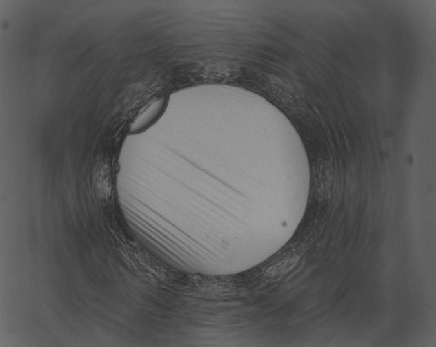 X0000062610962200601111004