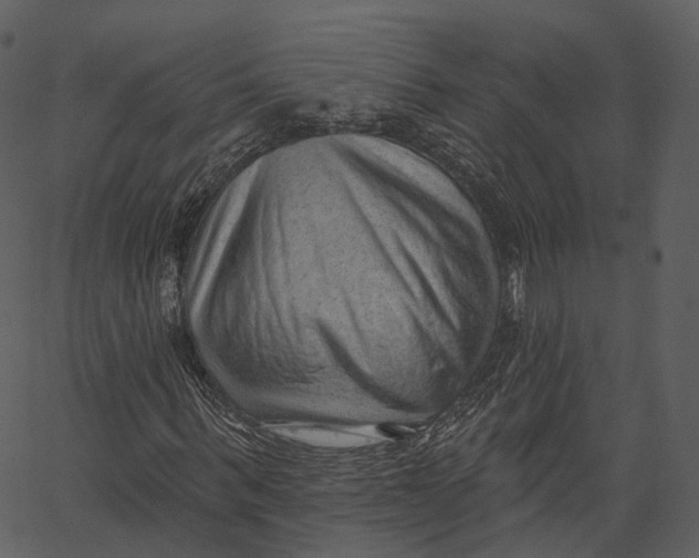 X0000062610963200601111004