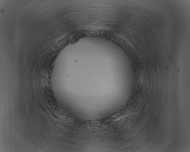 X0000062610964200601111004