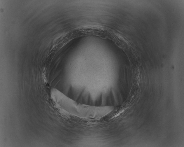 X0000062610965200601111004