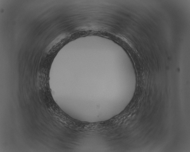 X0000062610967200601111004