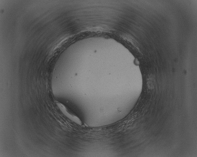 X0000062610968200601111004