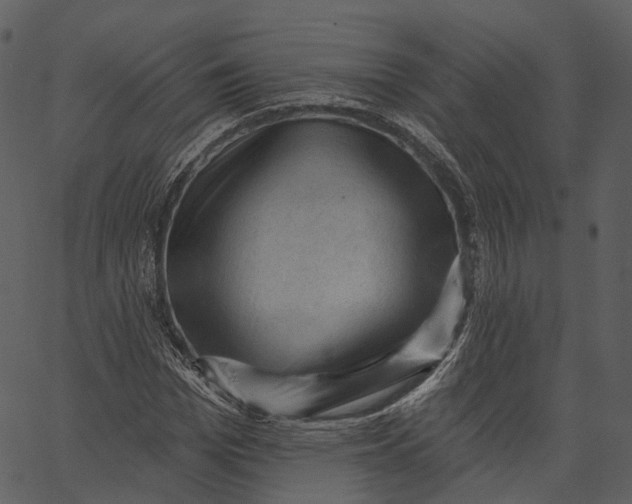 X0000062610969200601111004