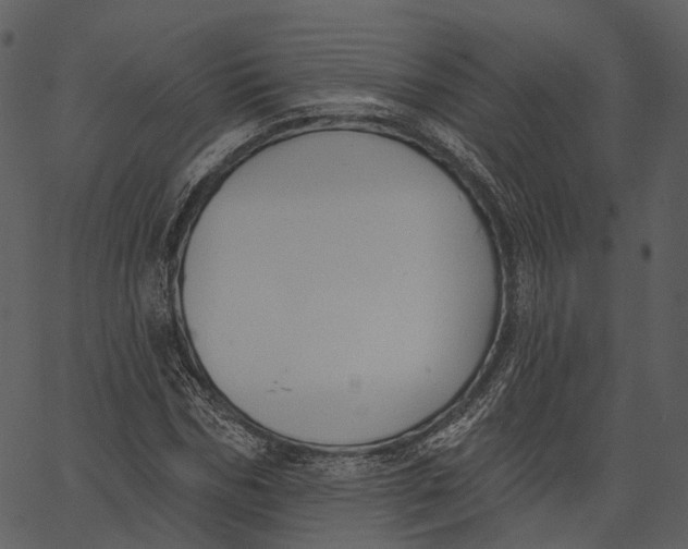 X0000062610970200601111004