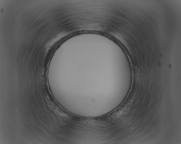 X0000062610971200601111004