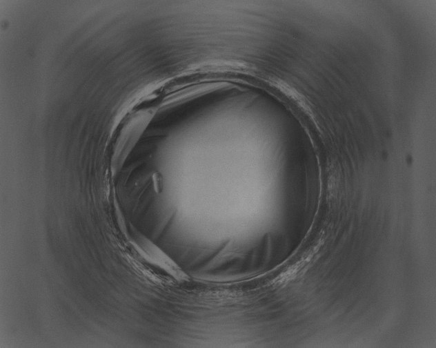 X0000062610973200601111004