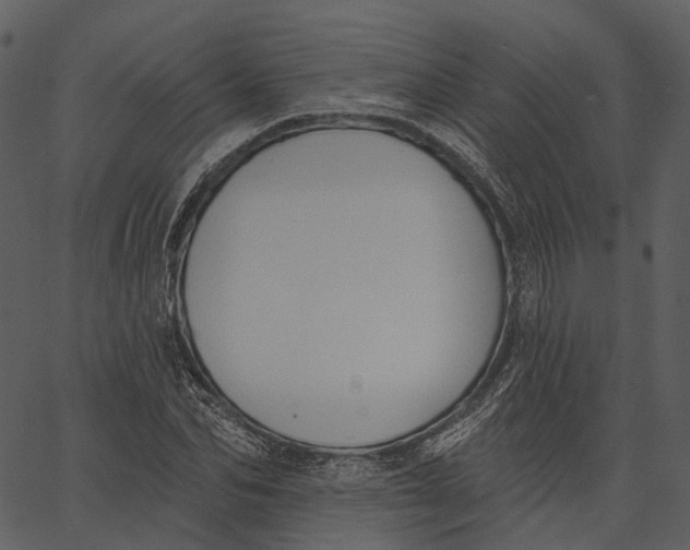 X0000062610974200601111004