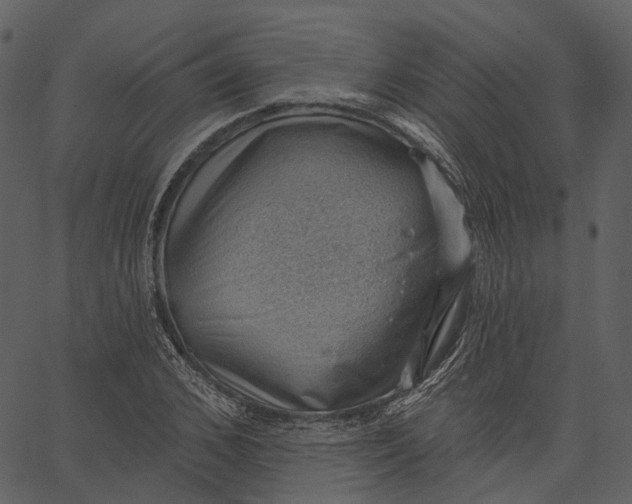 X0000062610976200601111004