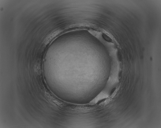 X0000062610977200601111004