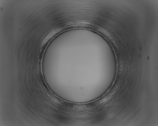 X0000062610978200601111004