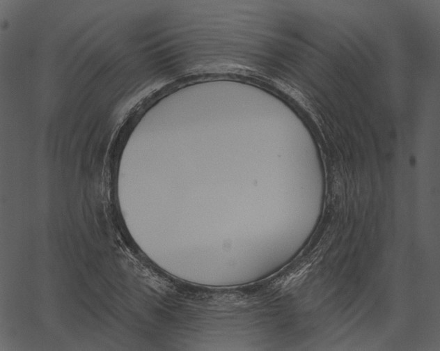 X0000062610979200601111004