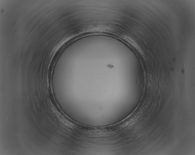 X0000062610980200601111004