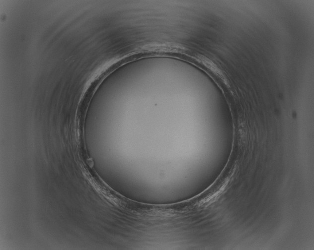 X0000062610981200601111004