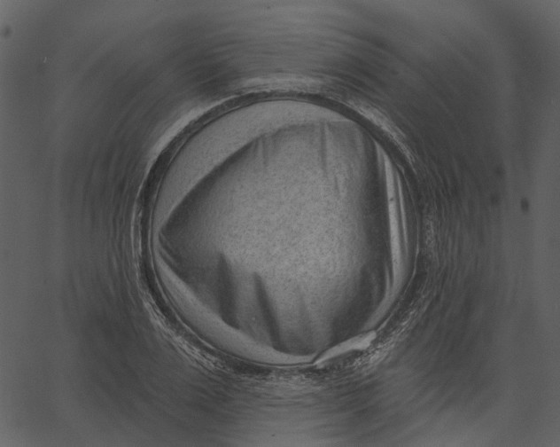 X0000062610983200601111004