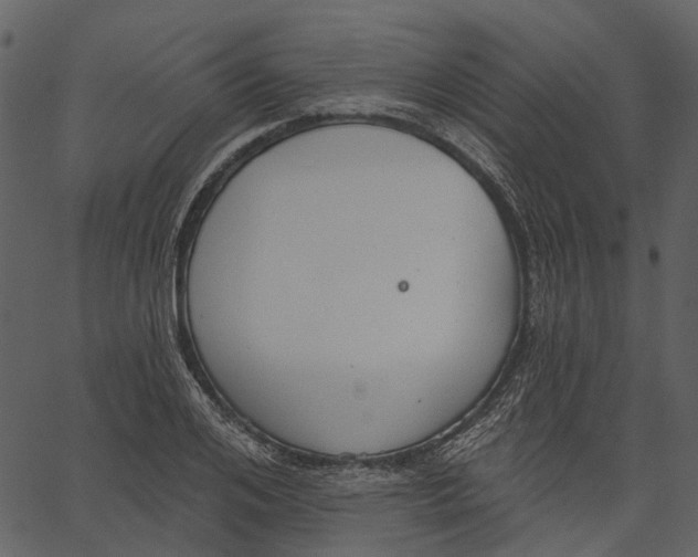 X0000062610984200601111004