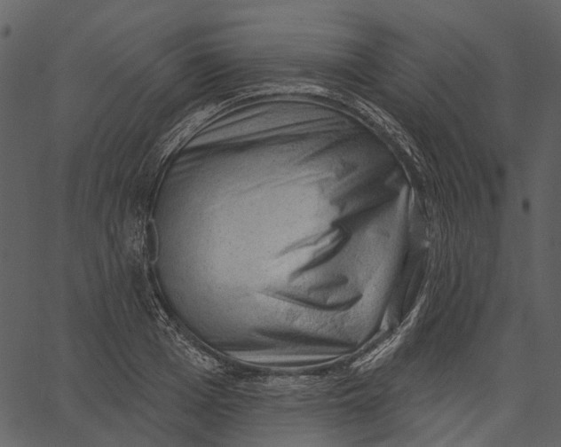 X0000062610985200601111004