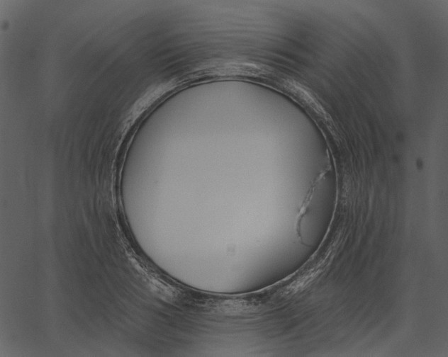 X0000062610986200601111004