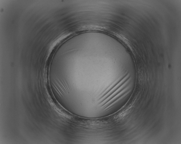 X0000062610987200601111004