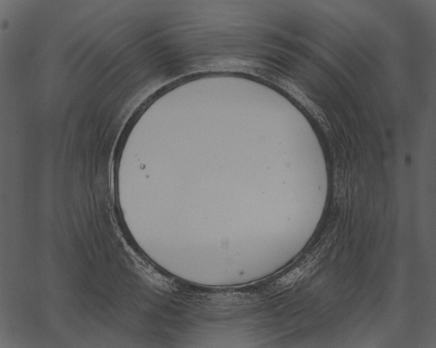 X0000062610988200601111004