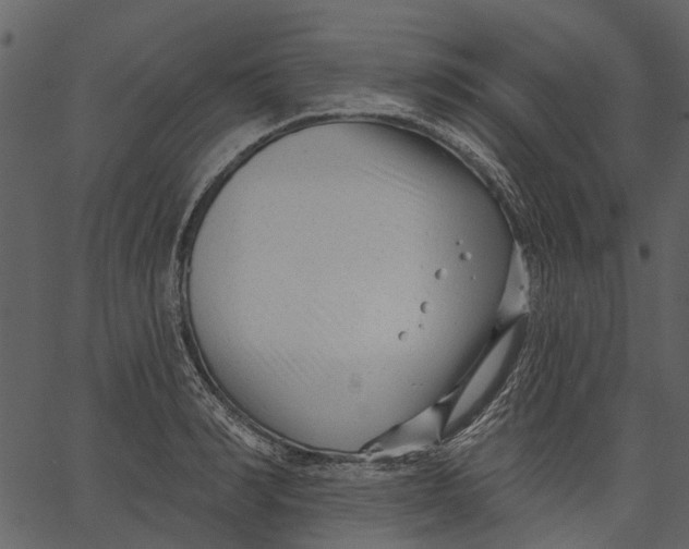 X0000062610990200601111004