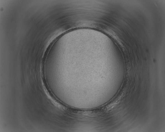 X0000062610991200601111004