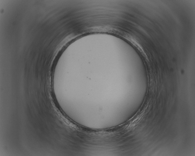 X0000062610992200601111004