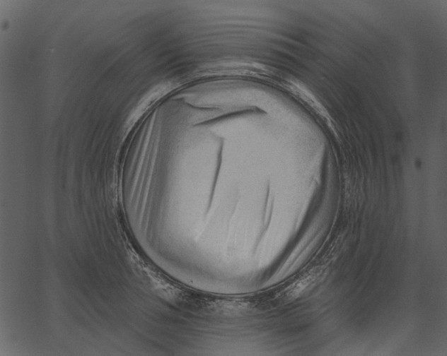 X0000062610994200601111004