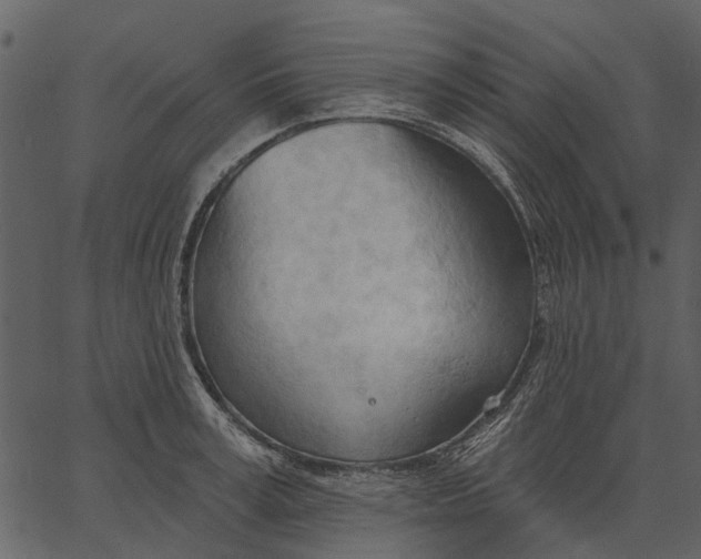 X0000062610995200601111004