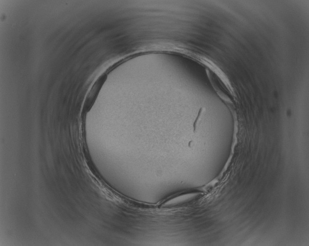 X0000062610996200601111004